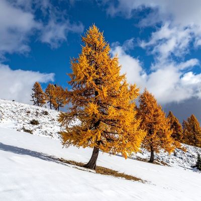 Mejor temporada para viajar